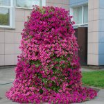 What are vertical flower beds
