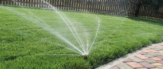 Automatic lawn watering system