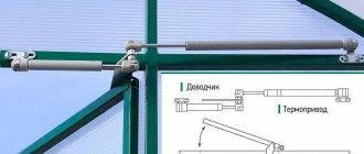 Device for automatically opening windows in a greenhouse