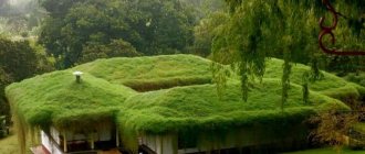 зеленые крыши